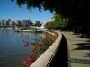 Brisbane Australia 5